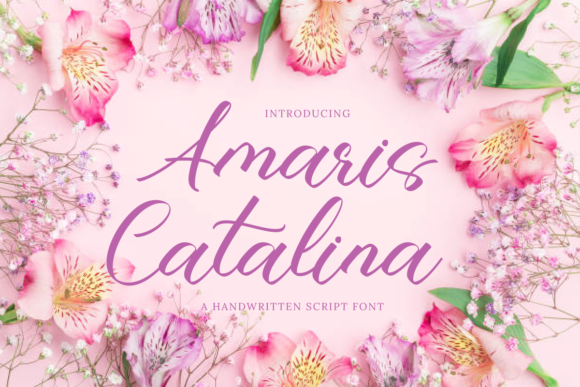 Elevate Editorial Design with the Amaris Catalina Typeface