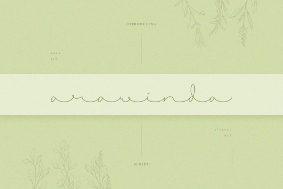 Elevate Your Brand with the Arawinda Handwritten Font