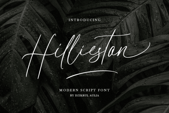 Hillieston Font Review: Elevating Web Design with Elegant Script