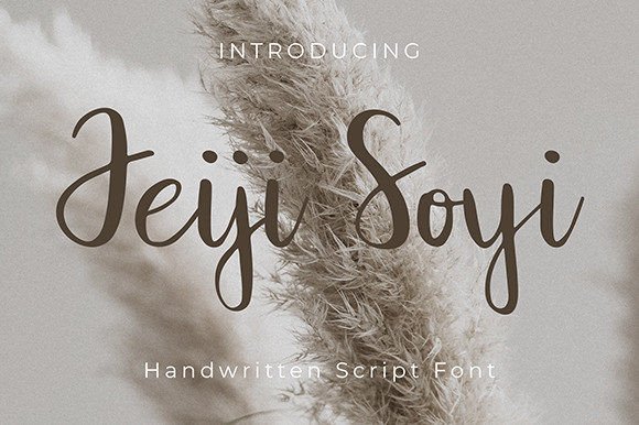 Jeiji Soyi: A Flowing Script Font for Modern Web Design