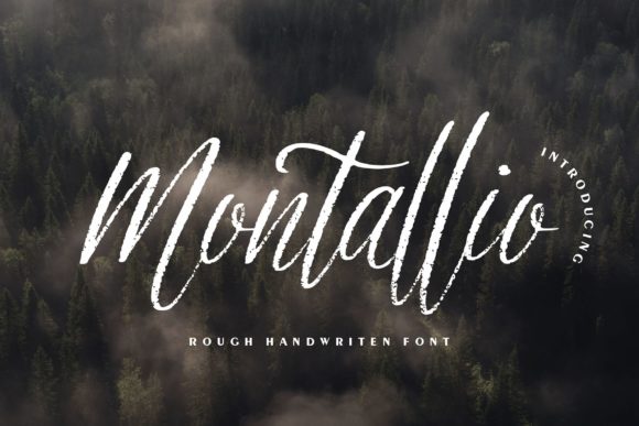 Montallio: A Designer's Honest Review for Branding