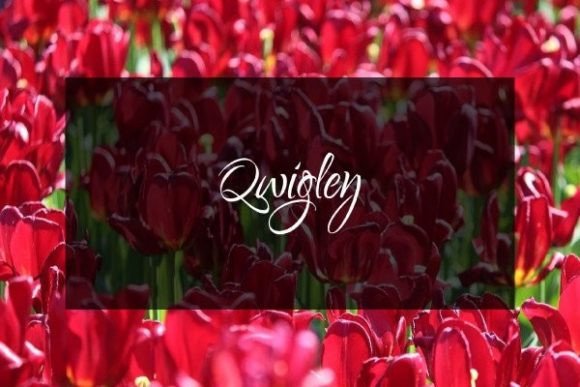 Qwigley: A Slim Handwritten Font for Makers