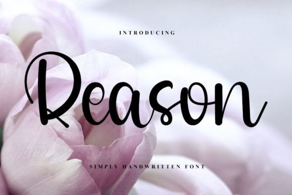 Reason: A Script That Balances Flow and Function