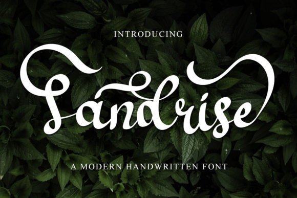 Sandrise Font Review: A Sweet Typeface for Web Design