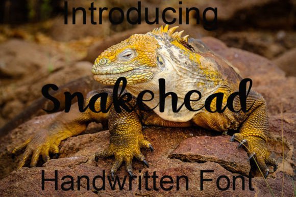 Snakehead Font: A Handwritten Typeface for Small Business Branding